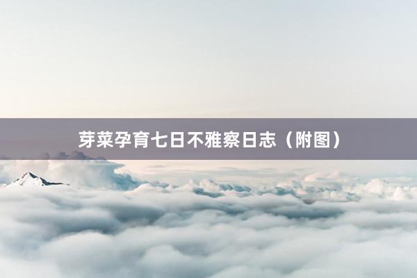 芽菜孕育七日不雅察日志(附图)